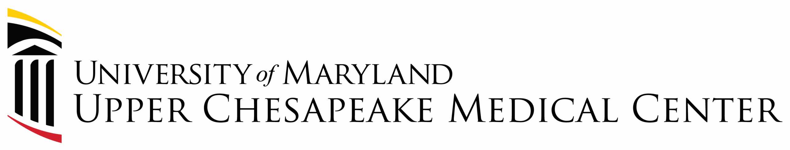 UM UCMC LOGO COLOR